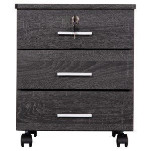 58909 ΣΥΡΤΑΡΙΕΡΑ ΓΡΑΦΕΙΟΥ HAYDEN HM2282.01 ΣΕ ΑΝΘΡΑΚΙ ΧΡΩΜΑ 39.5x40x46.5Υεκ