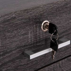 58909 ΣΥΡΤΑΡΙΕΡΑ ΓΡΑΦΕΙΟΥ HAYDEN HM2282.01 ΣΕ ΑΝΘΡΑΚΙ ΧΡΩΜΑ 39.5x40x46.5Υεκ