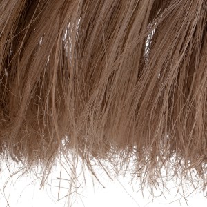 69696 ΦΩΤΙΣΤΙΚΟ ΟΡΟΦΗΣ ΣΧΗΜΑ ΚΑΜΠΑΝΑ ΜΕ ΚΡΟΣΙΑ ΙΝΕΣ ΑΜΠΑΚΑ ΣΕ ΦΥΣΙΚΟ Φ50x50-80Yεκ.HM7782