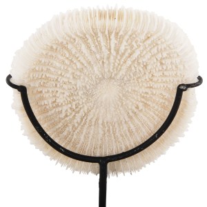 71504 ΕΠΙΤΡΑΠΕΖΙΟ ΔΙΑΚΟΣΜΗΤΙΚΟ HM4273 ΚΟΡΑΛΙ ΣΕ ΦΥΣΙΚΟ-ΜΑΥΡΗ ΜΕΤΑΛΛΙΚΗ ΒΑΣΗ 8x8x16Υ εκ.