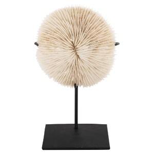 71504 ΕΠΙΤΡΑΠΕΖΙΟ ΔΙΑΚΟΣΜΗΤΙΚΟ HM4273 ΚΟΡΑΛΙ ΣΕ ΦΥΣΙΚΟ-ΜΑΥΡΗ ΜΕΤΑΛΛΙΚΗ ΒΑΣΗ 8x8x16Υ εκ.