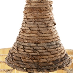 71571 ΦΩΤΙΣΤΙΚΟ ΟΡΟΦΗΣ ΚΡΕΜΑΣΤΟ ΜΕ ΚΡΟΣΙΑ HM7853 ΙΝΕΣ ΦΟΙΝΙΚΑ ΑΠΟΞΗΡΑΜΕΝΕΣ Φ41x34Yεκ