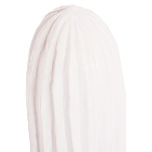 74370 ΔΙΑΚΟΣΜΗΤΙΚΟΣ ΚΑΚΤΟΣ ΔΑΠΕΔΟΥ CACTUS HM4386.02M MDF ΣΕ ΛΕΥΚΟ 54x34x103Υεκ.