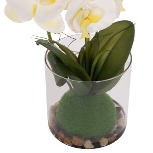 74972 ΔΙΑΚΟΣΜΗΤΙΚΟ ΣΥΝΘΕΤΙΚΟ ΦΥΤΟ HM4738 ΛΟΥΛΟΥΔΙ PHALAENOPSIS ΣΕ ΓΥΑΛΙΝΟ ΒΑΖΟ 12x24x30Υεκ