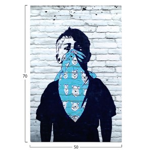 75369 ΠΙΝΑΚΑΣ TOIXOY ΣΕΙΡΑ GOBI HM4829 ΕΚΤΥΠΩΜΕΝΟΣ ΚΑΜΒΑΣ 50x3(πάχος)x70Yεκ.