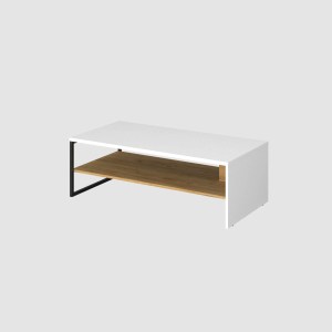 alpha-TO-SANTCOFFEWH-3896 ΤΡΑΠΕΖΙ ΣΑΛΟΝΙΟΥ SANTES ΧΡΥΣΟ ΔΡΥΣ-ΛΕΥΚΟ 120X60X40CM