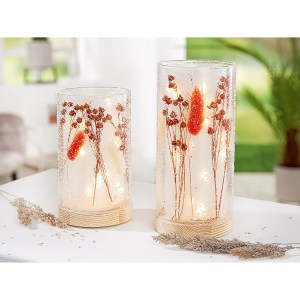 Artelibre - 05160582 ΘΗΚΗ ΡΕΣΩ ΜΕ ΑΠΟΞΗΡΑΜΕΝΑ ΛΟΥΛΟΥΔΙΑ ΦΩΤΙΖΟΜΕΝΗ 10 LED ΚΡΕΜ ΓΥΑΛΙ 16CM