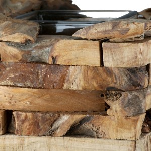 Artelibre - 05161343 ΦΑΝΑΡΙ ΚΑΤΑΙΓΙΔΑΣ 