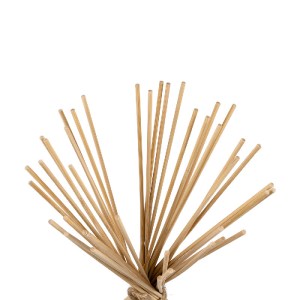 glo-01753-01753_8 GLOBOSTAR® AZORES 01753 BOHO ΕΠΙΔΑΠΕΔΙΟ ΦΩΤΙΣΤΙΚΟ ΜΟΝΟΦΩΤΟ 1 X E27 IP20 ΜΠΕΖ ΞΥΛΟ - Μ30 X 