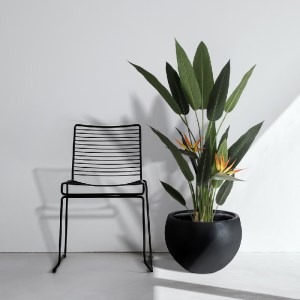 glo-20032-20032_20700 GLOBOSTAR® ARTIFICIAL GARDEN STRELITZIA REGINAE 20032 ΤΕΧΝΗΤΟ ΔΙΑΚΟΣΜΗΤΙΚΟ ΦΥΤΟ ΣΤΡΕΛΙΤΣΙΑ