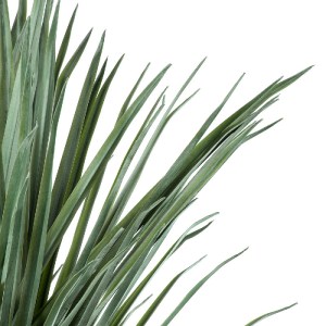 glo-20047-20047_3 GLOBOSTAR® ARTIFICIAL GARDEN BEAUCARNEA PALM TREE 20047 ΤΕΧΝΗΤΟ ΔΙΑΚΟΣΜΗΤΙΚΟ ΦΥΤΟ ΚΥΡΤΟΦΥΛ