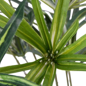 glo-20059-20059_3 GLOBOSTAR® ARTIFICIAL GARDEN BROADLEAF LADY PALM 20059 ΤΕΧΝΗΤΟ ΔΙΑΚΟΣΜΗΤΙΚΟ ΦΥΤΟ ΠΛΑΤΥΦΥΛΛ