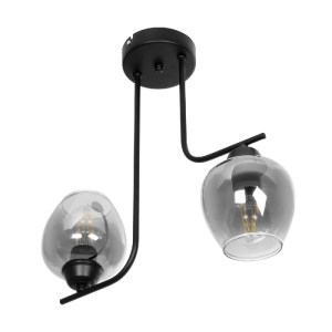 glo-201-0091-201_0091_4 GLOBOSTAR® GLOSSA 201-0091 VINTAGE ΦΩΤΙΣΤΙΚΟ ΟΡΟΦΗΣ ΜΠΑΛΑ ΔΙΦΩΤΟ 2 X E27 IP20 ΜΑΥΡΟ ΜΕΤΑΛΛΟ ΜΕ ΜΑΥΡΟ ΦΙΜΕ ΓΥΑΛΙ - Μ30 X Π15 X Υ54CM