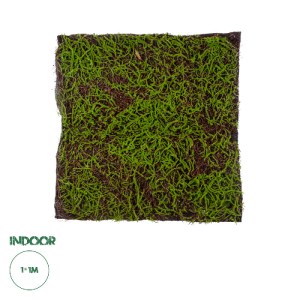 glo-20143-20143_00 GLOBOSTAR® ARTIFICIAL GARDEN BRYOPHYTA 20143 ΤΕΧΝΗΤΟ ΔΙΑΚΟΣΜΗΤΙΚΟ ΠΑΝΕΛ ΦΥΛΛΩΣΙΑΣ - ΚΑΘΕΤΟ