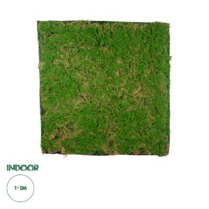 glo-20144-20144_00 GLOBOSTAR® ARTIFICIAL GARDEN BRYOPHYTA 20144 ΤΕΧΝΗΤΟ ΔΙΑΚΟΣΜΗΤΙΚΟ ΠΑΝΕΛ ΦΥΛΛΩΣΙΑΣ - ΚΑΘΕΤΟ