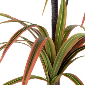glo-20372-20372_3 GLOBOSTAR® ARTIFICIAL GARDEN DRAGON BLOOD TREE 20372 - ΤΕΧΝΗΤΟ ΔΙΑΚΟΣΜΗΤΙΚΟ ΦΥΤΟ ΔΡΑΚΑΙΝΑ 