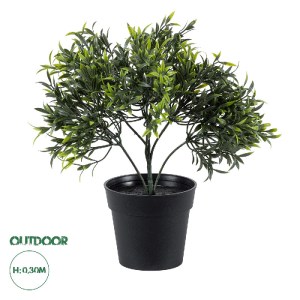 glo-20391-20391_0 GLOBOSTAR® ARTIFICIAL GARDEN BABY BAMBOO 20391 ΤΕΧΝΗΤΟ ΔΙΑΚΟΣΜΗΤΙΚΟ ΦΥΤΟ ΜΙΚΡΟ ΜΠΑΜΠΟΥ Υ30
