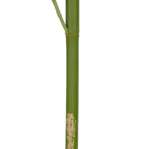 glo-20439-20439_03 GLOBOSTAR® ARTIFICIAL GARDEN BAMBOO BRANCH 20439 ΤΕΧΝΗΤΟ ΔΙΑΚΟΣΜΗΤΙΚΟ ΚΛΑΔΙ ΜΠΑΜΠΟΥ Υ200CM