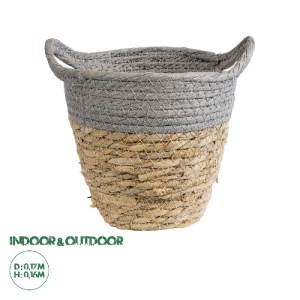 glo-20570-20570_0 GLOBOSTAR® ARTIFICIAL GARDEN SYROS 20570 ΔΙΑΚΟΣΜΗΤΙΚΟ ΠΛΕΚΤΟ ΚΑΣΠΩ ΓΛΑΣΤΡΑ - FLOWER POT ΜΠ