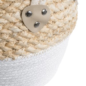 glo-20576-20576_6 GLOBOSTAR® ARTIFICIAL GARDEN SANTORINI 20576 ΔΙΑΚΟΣΜΗΤΙΚΟ ΠΛΕΚΤΟ ΚΑΣΠΩ ΓΛΑΣΤΡΑ - FLOWER PO