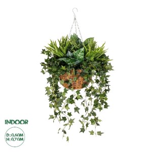 glo-20623-20623_0.webp GLOBOSTAR® ARTIFICIAL GARDEN VARIOUS HANGING PLANT 20623 ΤΕΧΝΗΤΟ ΚΡΕΜΑΣΤΟ ΔΙΑΚΟΣΜΗΤΙΚΟ ΦΥΤ