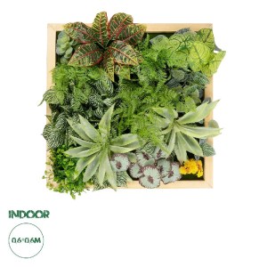 glo-20641-20461_0.webp GLOBOSTAR® ARTIFICIAL GARDEN VARIOUS PLANT 20641 ΤΕΧΝΗΤΟ ΔΙΑΚΟΣΜΗΤΙΚΟ ΦΥΛΛΩΣΙΑΣ ΣΕ ΞΥΛΙΝΟ 