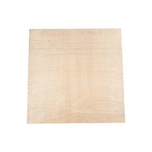 glo-20641-20461_10.webp GLOBOSTAR® ARTIFICIAL GARDEN VARIOUS PLANT 20641 ΤΕΧΝΗΤΟ ΔΙΑΚΟΣΜΗΤΙΚΟ ΦΥΛΛΩΣΙΑΣ ΣΕ ΞΥΛΙΝΟ 