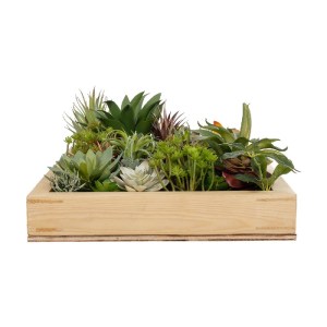 glo-20642-20642_4.webp GLOBOSTAR® ARTIFICIAL GARDEN VARIOUS PLANT 20642 ΤΕΧΝΗΤΟ ΔΙΑΚΟΣΜΗΤΙΚΟ ΦΥΛΛΩΣΙΑΣ ΣΕ ΞΥΛΙΝΟ 