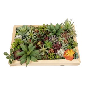 glo-20642-20642_5.webp GLOBOSTAR® ARTIFICIAL GARDEN VARIOUS PLANT 20642 ΤΕΧΝΗΤΟ ΔΙΑΚΟΣΜΗΤΙΚΟ ΦΥΛΛΩΣΙΑΣ ΣΕ ΞΥΛΙΝΟ 