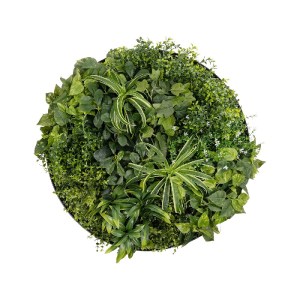 glo-20689-20689_2.webp GLOBOSTAR® ARTIFICIAL GARDEN VARIOUS PLANTS ROUND WALL DISC 20689 ΤΕΧΝΗΤΟ ΔΙΑΚΟΣΜΗΤΙΚΟ ΣΤΡ