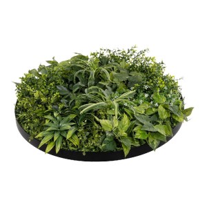 glo-20689-20689_5.webp GLOBOSTAR® ARTIFICIAL GARDEN VARIOUS PLANTS ROUND WALL DISC 20689 ΤΕΧΝΗΤΟ ΔΙΑΚΟΣΜΗΤΙΚΟ ΣΤΡ