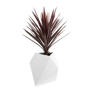 glo-20737-20737_6 GLOBOSTAR® ARTIFICIAL GARDEN ALBEROBELLO 20737 ΕΠΙΔΑΠΕΔΙΟ ΠΟΛΥΕΣΤΕΡΙΚΟ ΤΣΙΜΕΝΤΕΝΙΟ ΚΑΣΠΩ Γ