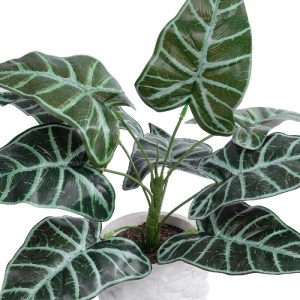 glo-20886-20886_3 GLOBOSTAR® ARTIFICIAL GARDEN ALOCASIA 20886 ΤΕΧΝΗΤΟ ΔΙΑΚΟΣΜΗΤΙΚΟ ΦΥΤΟ ΑΛΟΚΑΣΙΑ Φ38 X Υ33CM