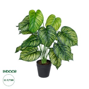 glo-20912-20912_0 GLOBOSTAR® ARTIFICIAL GARDEN CALATHEA PLANT 20912 ΔΙΑΚΟΣΜΗΤΙΚΟ ΦΥΤΟ ΚΑΛΑΘΕΑ Φ55 X Υ75CM