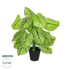 glo-20913-20913_0 GLOBOSTAR® ARTIFICIAL GARDEN CALADIUM PLANT 20913 ΔΙΑΚΟΣΜΗΤΙΚΟ ΦΥΤΟ ΚΑΛΑΝΤΙΟΥΜ Φ55 X Υ75CM