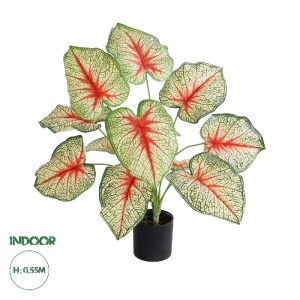 glo-20932-20932_0 GLOBOSTAR® ARTIFICIAL GARDEN CALADIUM PLANT 20932 ΔΙΑΚΟΣΜΗΤΙΚΟ ΦΥΤΟ ΚΑΛΑΝΤΙΟΥΜ Φ58 X Υ55CM