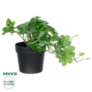 glo-20954-20954_0 GLOBOSTAR® ARTIFICIAL GARDEN SCHEFFLERA PLANT 20954 ΔΙΑΚΟΣΜΗΤΙΚΟ ΦΥΤΟ ΣΕΦΛΕΡΑ Φ18 X Υ17CM