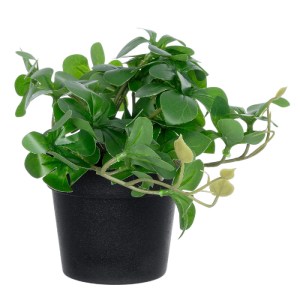 glo-20954-20954_4 GLOBOSTAR® ARTIFICIAL GARDEN SCHEFFLERA PLANT 20954 ΔΙΑΚΟΣΜΗΤΙΚΟ ΦΥΤΟ ΣΕΦΛΕΡΑ Φ18 X Υ17CM