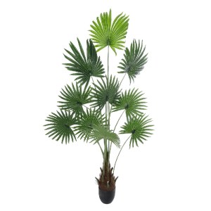 glo-20972-20972_2 GLOBOSTAR® ARTIFICIAL GARDEN SERENOA PALM PLANT 20972 ΔΙΑΚΟΣΜΗΤΙΚΟ ΦΥΤΟ ΦΟΙΝΙΚΑ ΣΕΡΕΝΟΑ Φ1