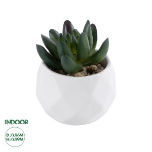 glo-20979-20979_0 GLOBOSTAR® ARTIFICIAL GARDEN SUCCULENT CRASSULA 20979 ΔΙΑΚΟΣΜΗΤΙΚΟ ΦΥΤΟ ΠΑΧΥΦΥΤΟ ΚΡΑΣΟΥΛΑ 