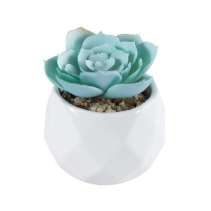 glo-20996-20996_2 GLOBOSTAR® ARTIFICIAL GARDEN SUCCULENT ECHEVERIA 20996 ΔΙΑΚΟΣΜΗΤΙΚΟ ΦΥΤΟ ΠΑΧΥΦΥΤΟ ΕΧΕΒΕΡΙΑ