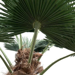 glo-21055-21055_3 GLOBOSTAR® ARTIFICIAL GARDEN PLANT PALM TREE 21055 ΔΙΑΚΟΣΜΗΤΙΚΟ ΔΕΝΤΡΟ ΦΟΙΝΙΚΑ  Φ240 X Υ40