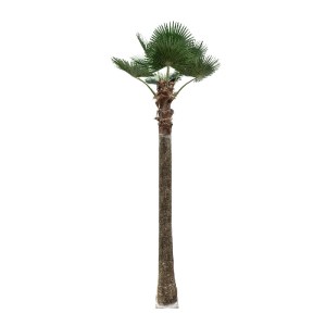 glo-21057-21057_2 GLOBOSTAR® ARTIFICIAL GARDEN PLANT PALM TREE 21057 ΔΙΑΚΟΣΜΗΤΙΚΟ ΔΕΝΤΡΟ ΦΟΙΝΙΚΑ  Φ240 X Υ60