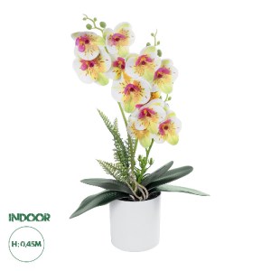 glo-21078-21078_0 GLOBOSTAR® ARTIFICIAL GARDEN WHITE - FUCHSIA ORCHID 21078 ΔΙΑΚΟΣΜΗΤΙΚΟ ΦΥΤΟ ΛΕΥΚΗ - ΦΟΥΞΙΑ