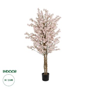 glo-21098-21098_0.webp GLOBOSTAR® ARTIFICIAL GARDEN PINK CHERRY 21098 ΤΕΧΝΗΤΟ ΔΙΑΚΟΣΜΗΤΙΚΟ ΔΕΝΤΡΟ ΚΕΡΑΣΙΑ Μ80 X Π