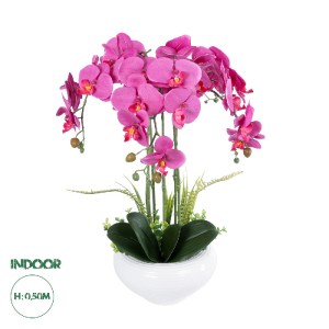 glo-21123-21123_0 GLOBOSTAR® ARTIFICIAL GARDEN DARK PINK ORCHID 21123 ΔΙΑΚΟΣΜΗΤΙΚΟ ΦΥΤΟ ΦΟΥΞΙΑ ΟΡΧΙΔΕΑ Υ50CM