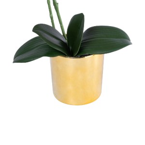 glo-21129-21129_4 GLOBOSTAR® ARTIFICIAL GARDEN SALMON PINK ORCHID 21129 ΔΙΑΚΟΣΜΗΤΙΚΟ ΦΥΤΟ ΦΟΥΞΙΑ ΟΡΧΙΔΕΑ Υ43
