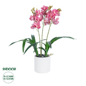 glo-21402-21402_0 GLOBOSTAR® ARTIFICIAL GARDEN PINK CHERRY CYMBIDIUM 21402 ΔΙΑΚΟΣΜΗΤΙΚΟ ΦΥΤΟ ΦΟΥΞΙΑ ΚΥΜΒΙΔΙΟ