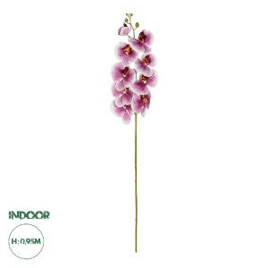 glo-21407-21407_0.webp GLOBOSTAR® ARTIFICIAL GARDEN PINK ORCHID BRANCH 21407 ΤΕΧΝΗΤΟ ΔΙΑΚΟΣΜΗΤΙΚΟ ΚΛΑΔΙ ΡΟΖ ΟΡΧΙΔ