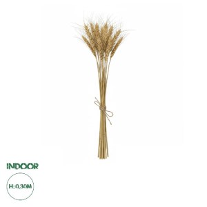 glo-21488-21488_01 GLOBOSTAR® ARTIFICIAL GARDEN REAL DRIED WHEAT GRASS 21488 ΤΕΧΝΗΤΟ ΔΙΑΚΟΣΜΗΤΙΚΟ ΚΛΑΔΙ ΣΙΤΑΡΙΟΥ Y30CM - ΣΕΤ 10 ΤΜΧ